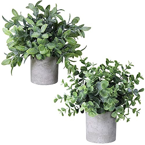 Set of 2 Faux Mini Potted Plants Artificial Eucalyptus Boxwood Plants in Pots…