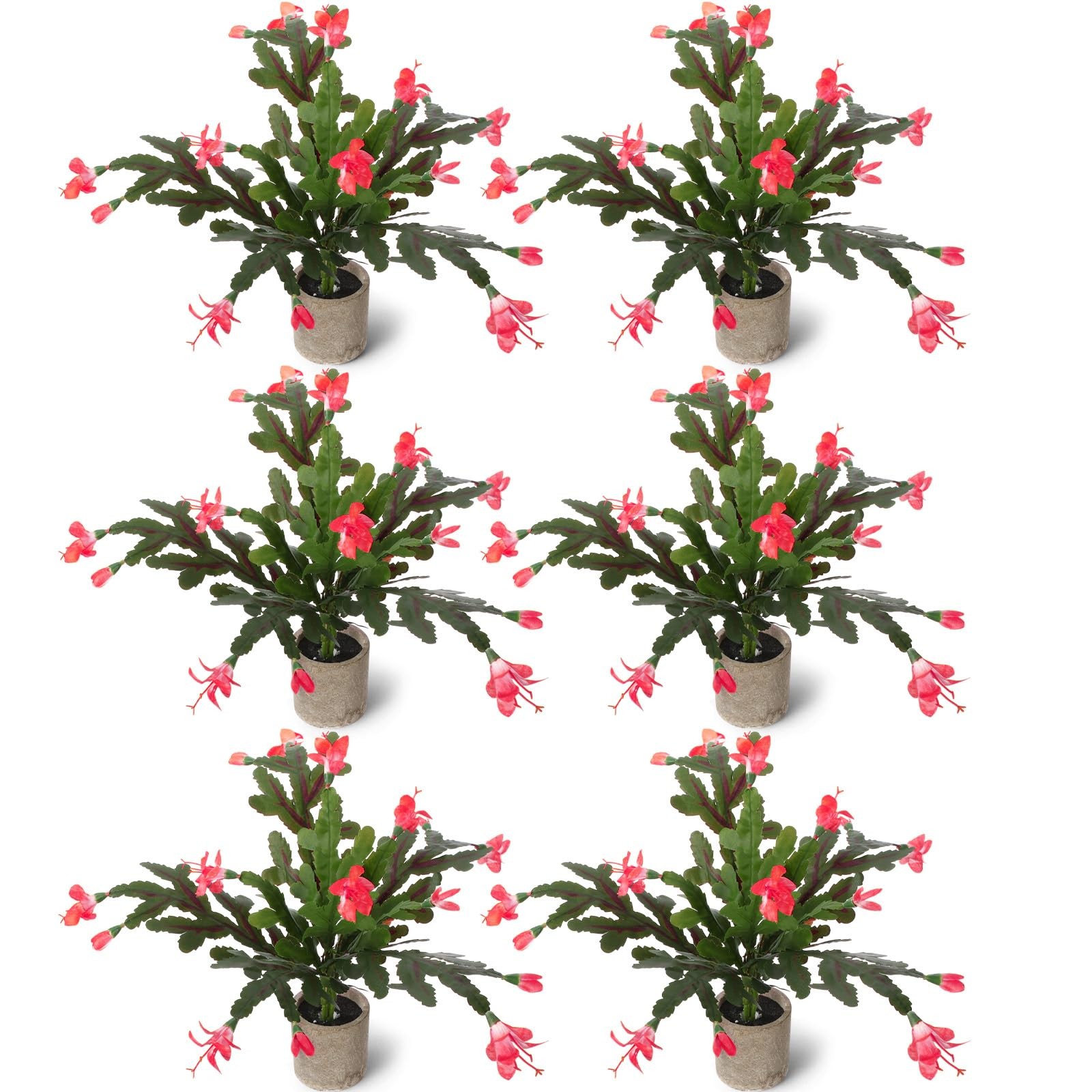 6 Pack Artificial Christmas Cactus Flowers No Pot 11” Tall 18” Wide Faux Ca…