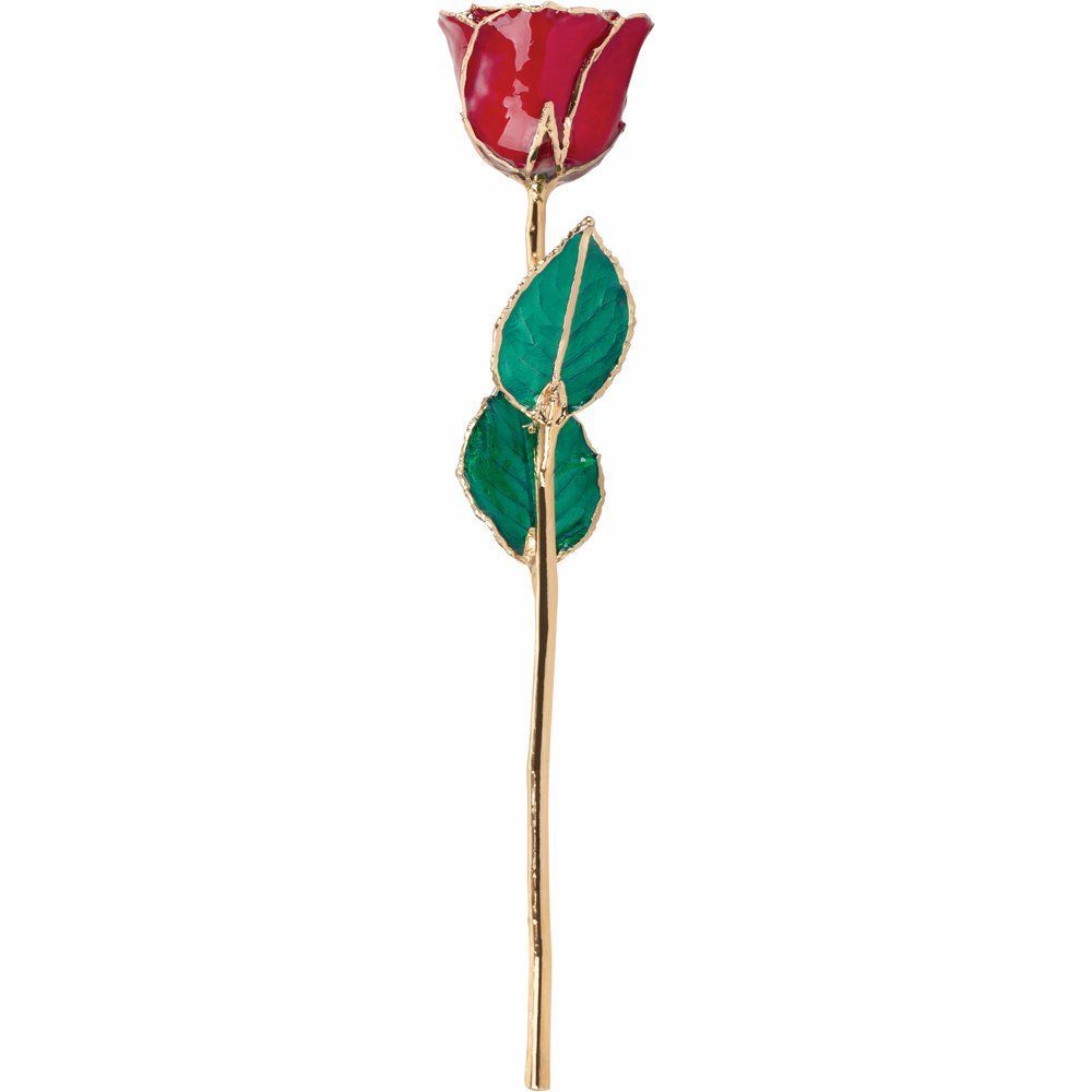 24k Gold Dipped Ruby Colored Lacquer Real Rose Valentine’s Day Holiday Gift