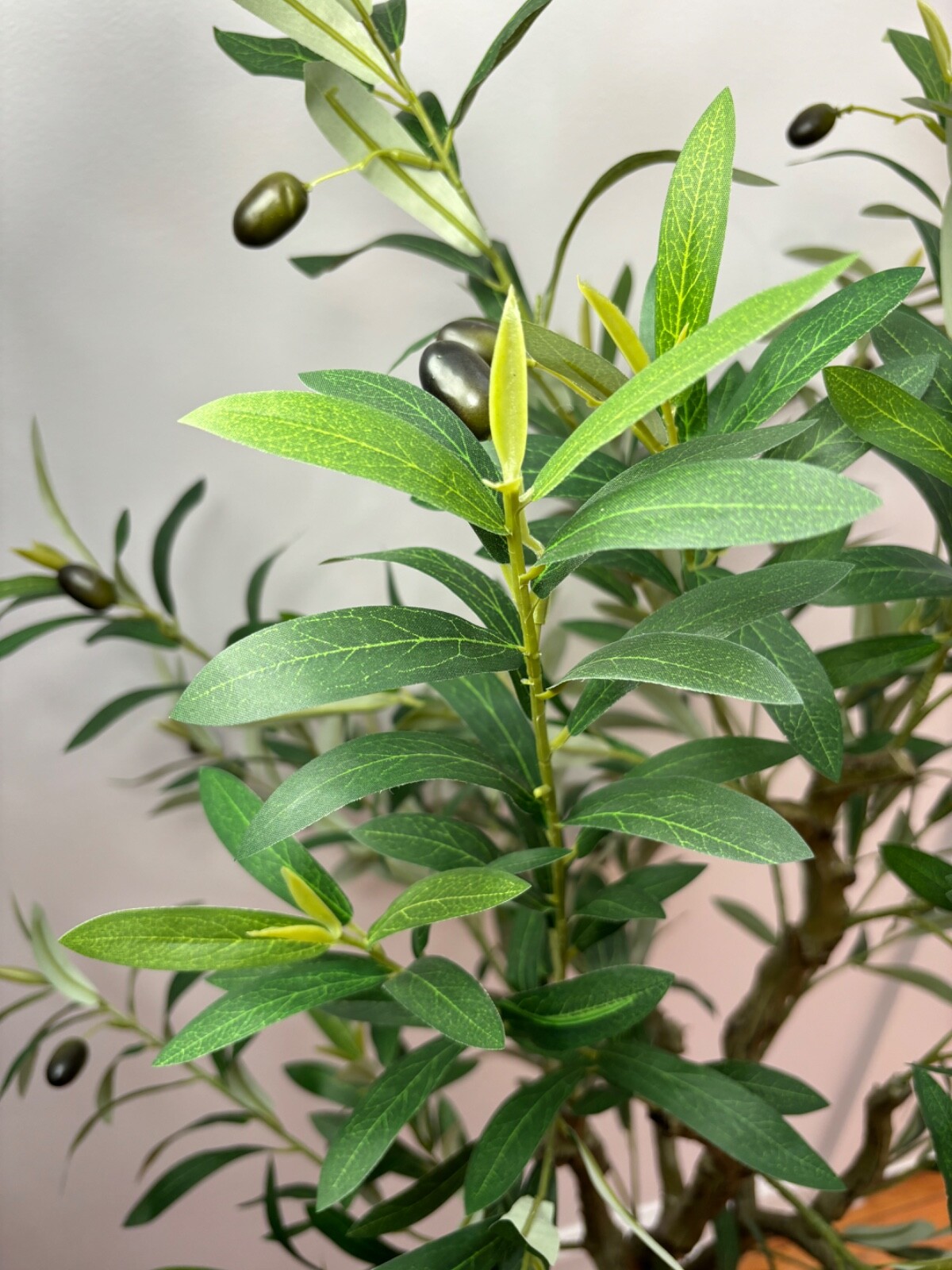 Wildwood & Cypress 60” Realistic Olive Tree Variegated Foliage Faux Indoor Plant