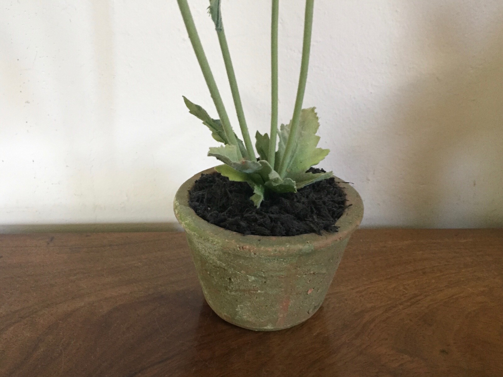 Vintage Fabric Flower or Artificial Plant in Terra Cotta Pot Red Poppy