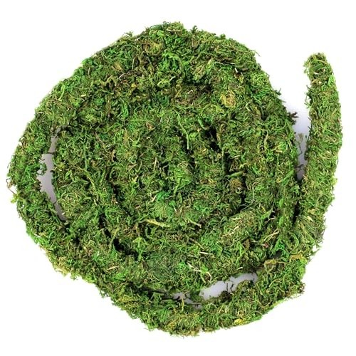 Real Moss Vine 12FT – Natural Green Decorative Plant, Perfect for Aquariums & Cr