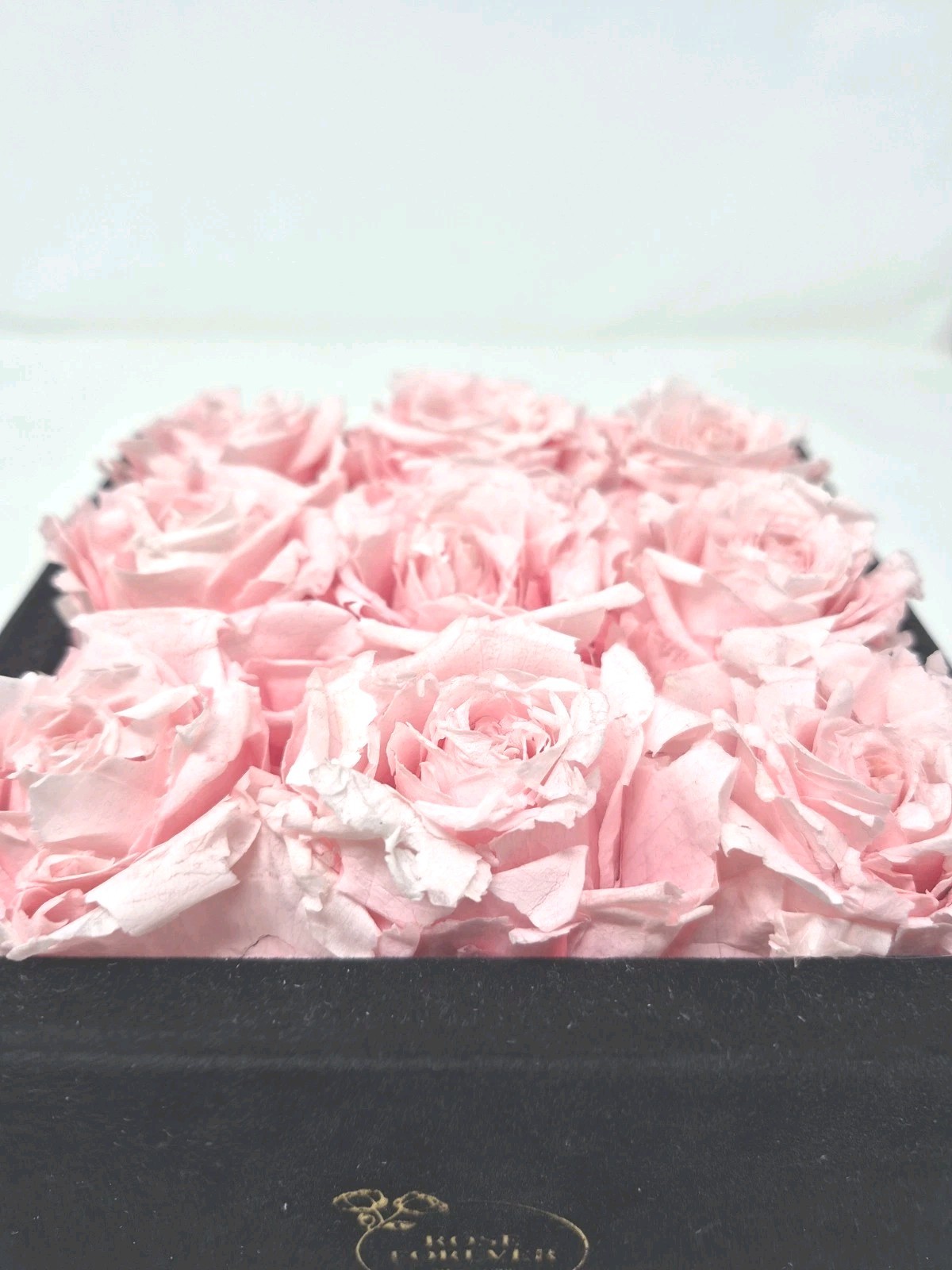Rose Forever New York – Real Preserved 9 Pink Roses Black Square Velvet Box