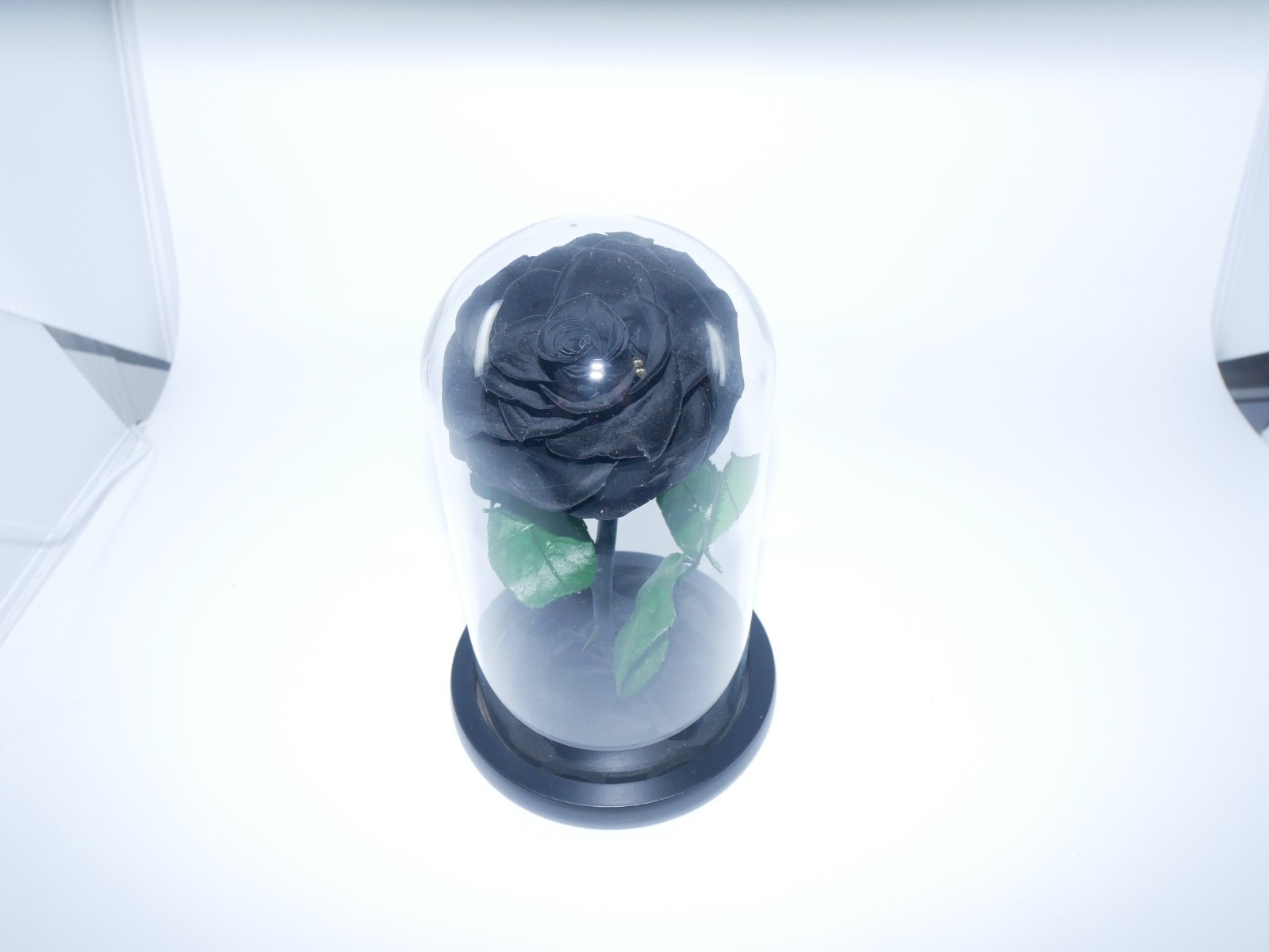 Perfectione Roses Black Rose Preserved Flowers