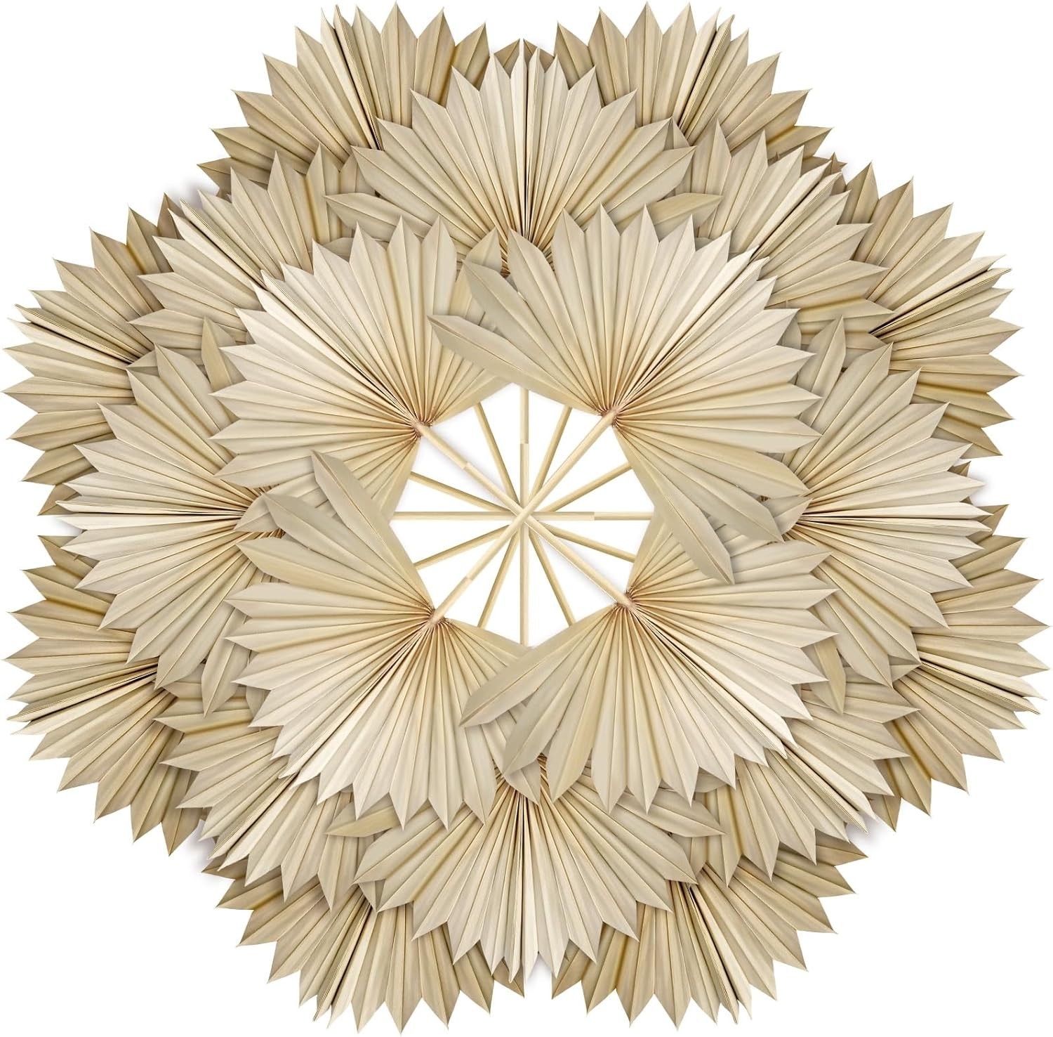 Natural Dried Palm Leaves Set of 20 – Ideal for Home Decor & Floral Arrangements
