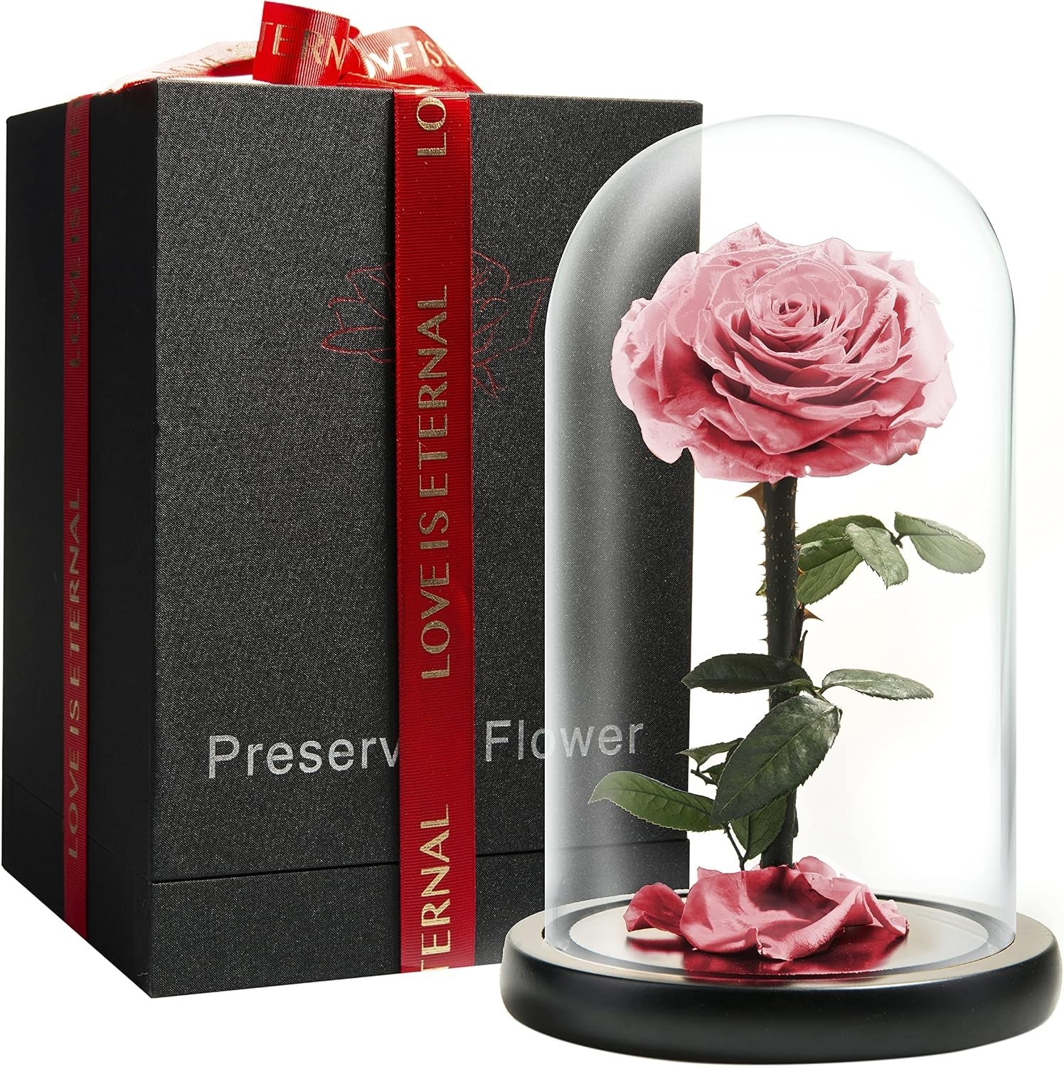 Long-lasting Pink Rose in Glass Dome – Elegant Gift for Every Occasion (9 Inch)