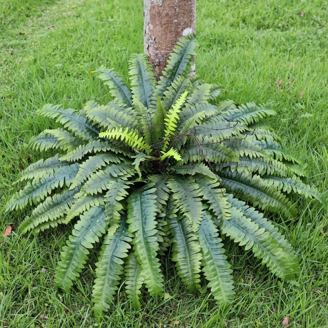Artificial Ferns for Outdoors & Indoors, 51in Fake Large Plants with 66 Fronds