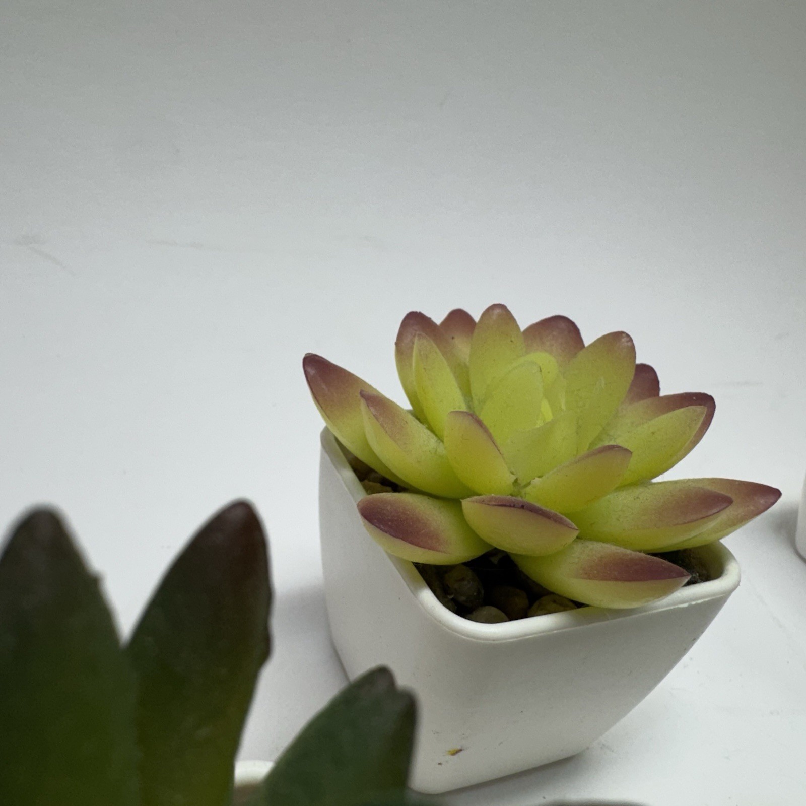 Gift Set of 5 Mini Artificial Succulent Plants in Square White Plastic Pots