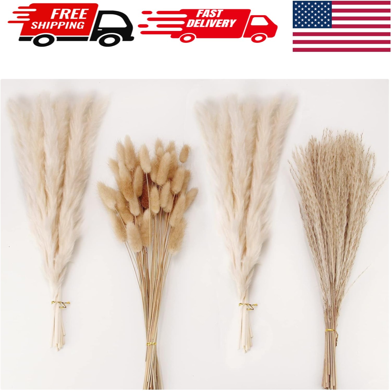 Chic Pampas Grass Collection: 100pcs White, Bunny Tails & Reed Grass Bouquet