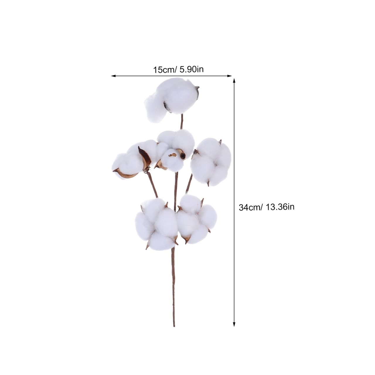 13.4 Inch Natural Dried Cotton Stems with 6 Bolls, Cotton Flower Branches for…