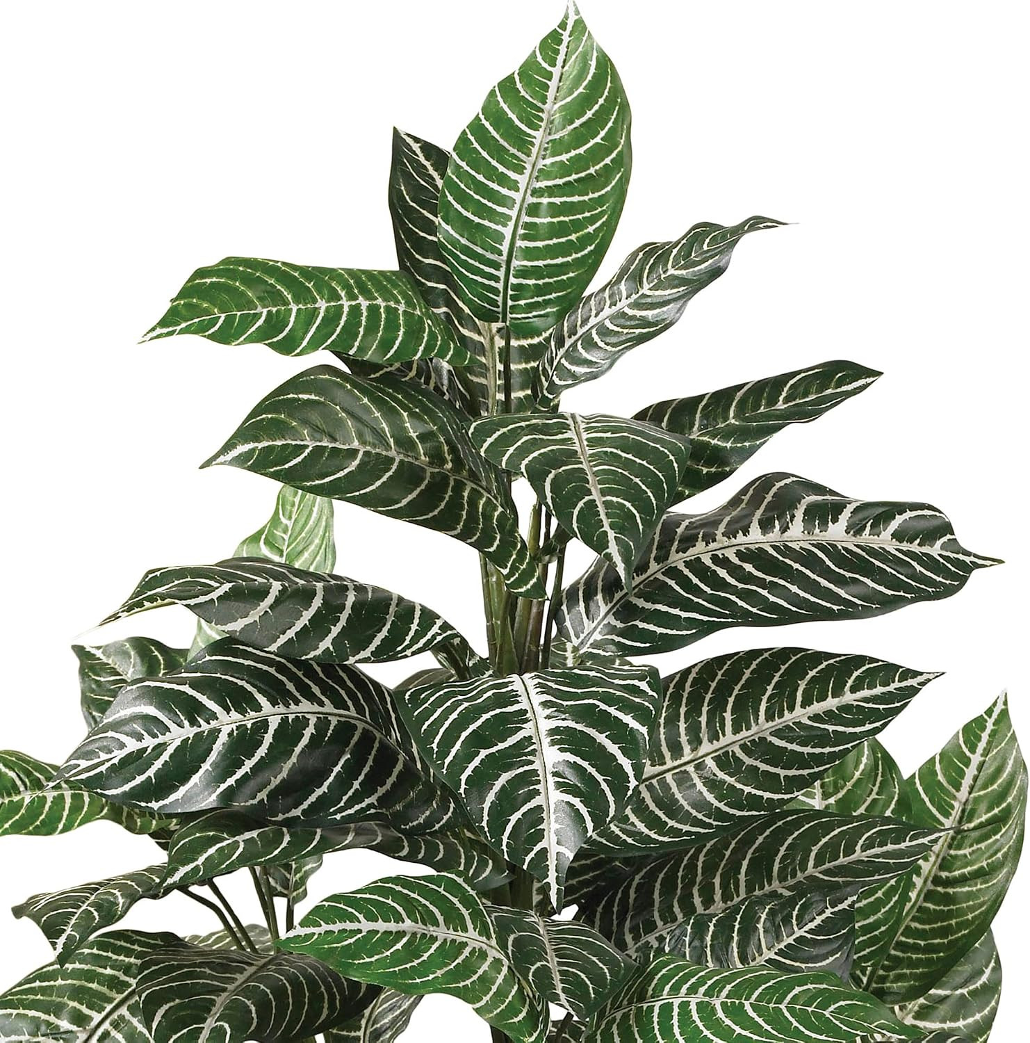 Lifelike 3Ft Zebra Silk Plant – Perfect for Home or Office Decor