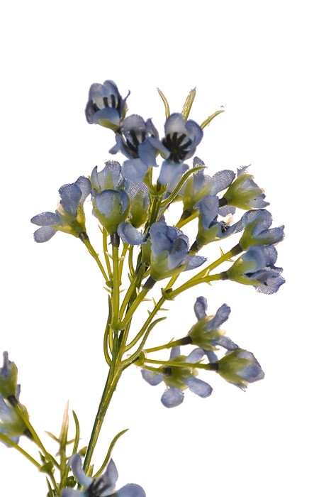 27″ Silk Waxflower Spray Blue
