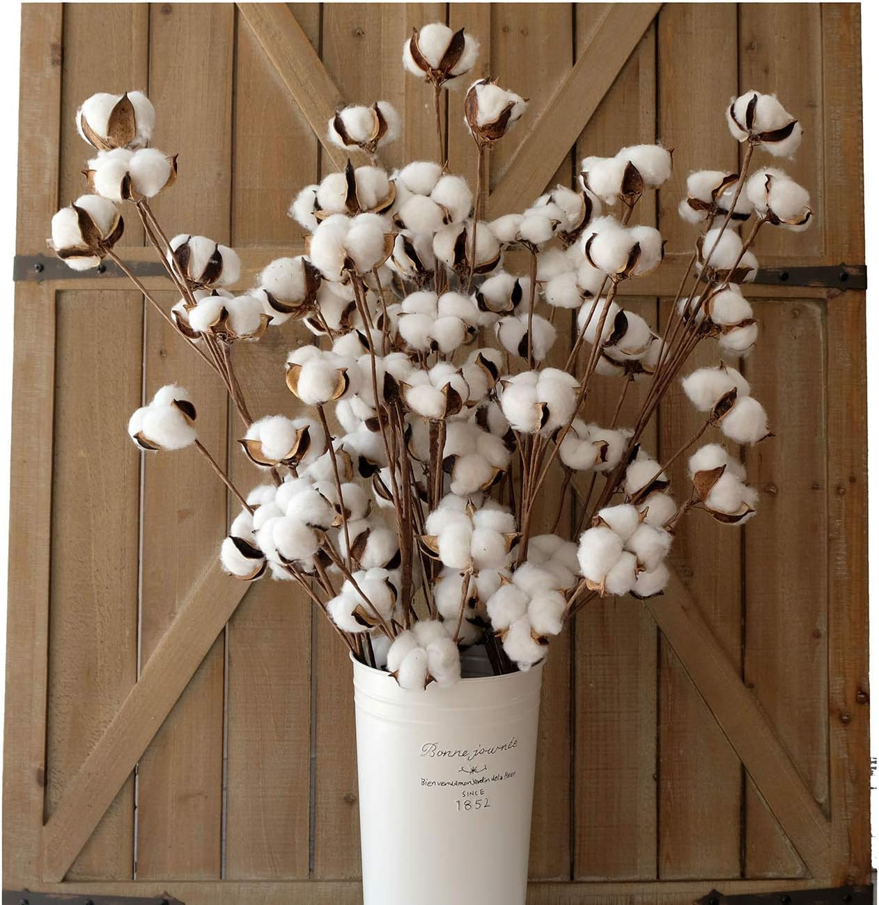 Elegant Cotton Stem Decor – 6 Pcs, 31″ Tall Dried Flower Branches