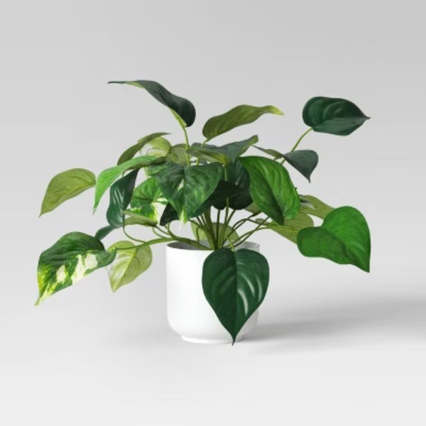 Pothos Artificial Plant in White Pot – Room Essentials