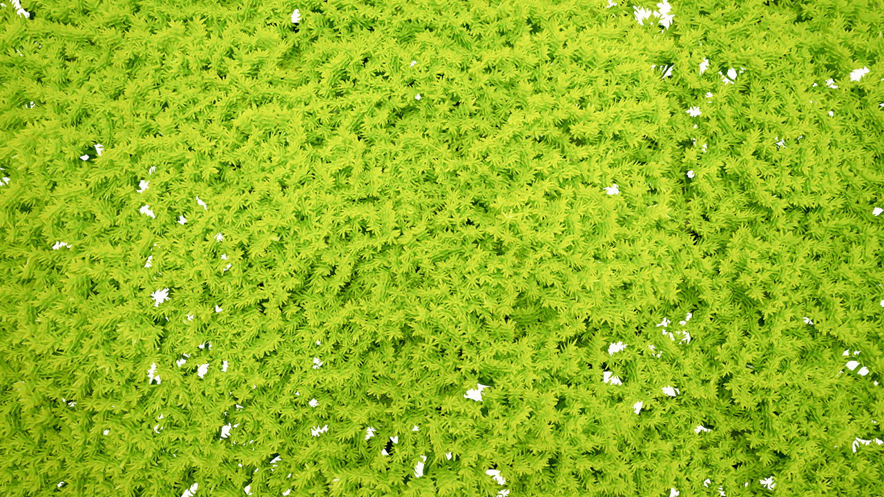 Emerald Artificial Greenery – Artificial Ivy Panel (Box) Moss