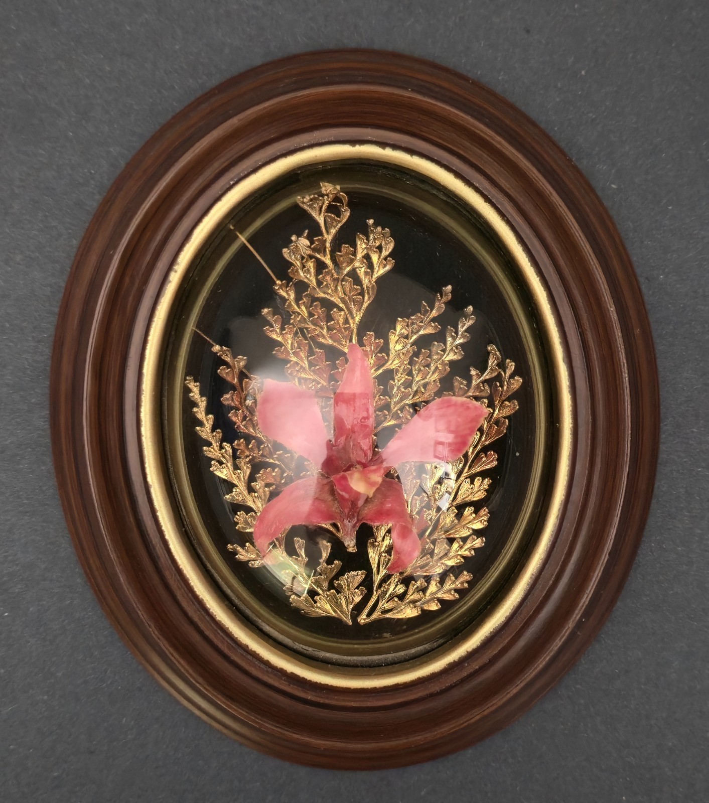 Vintage Orchid Flora Hawaiian Preserved 24K Gold Pink Fern Framed Dome 6″X5″
