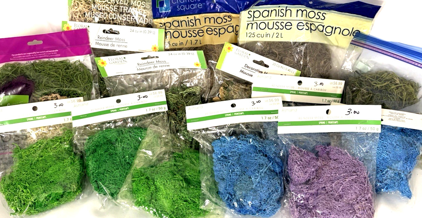 15 Bags Craft Moss Lot Reindeer Spanish Preserved Mixed Colors Floral DIY Decor