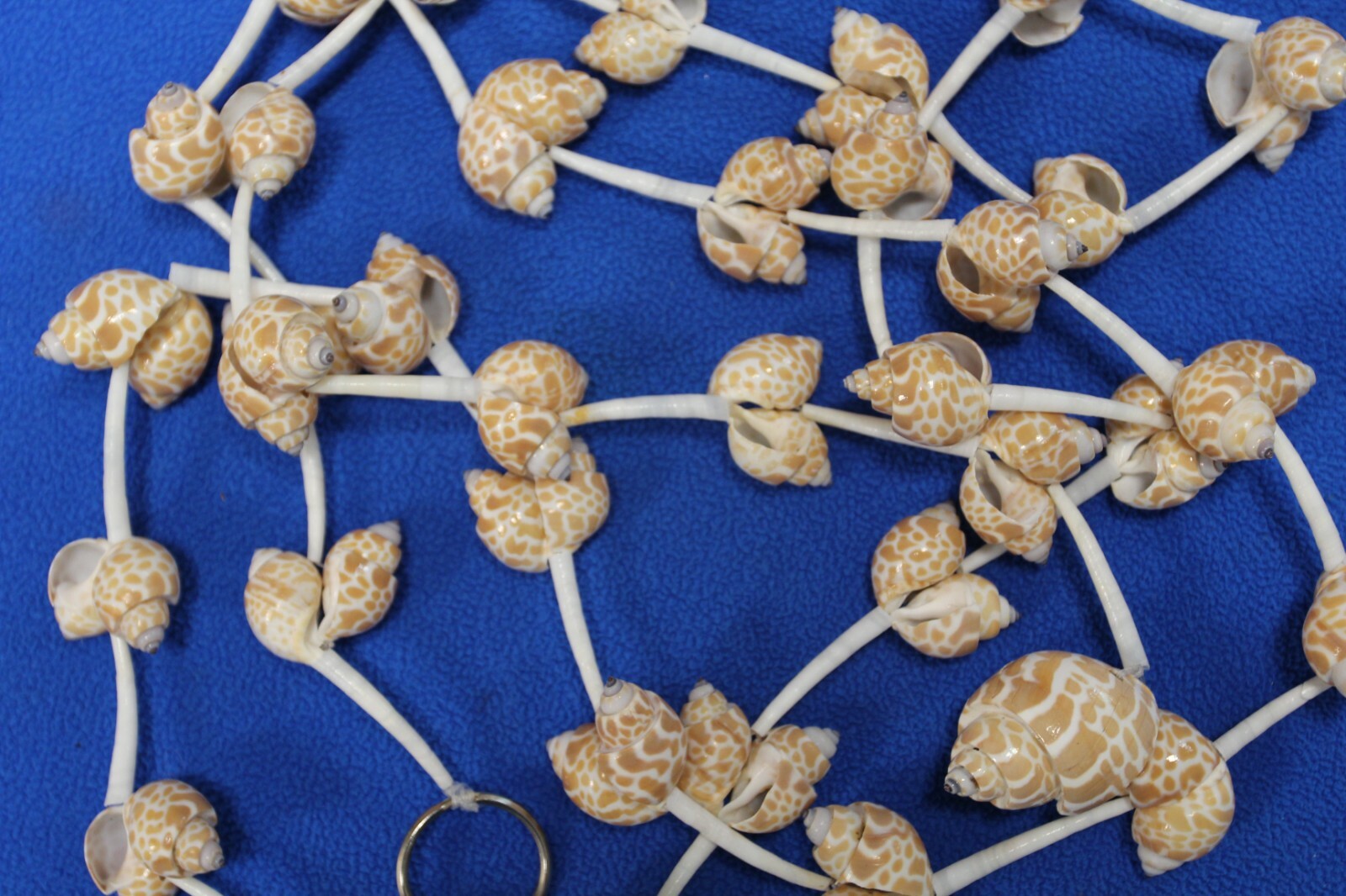 Handmade Sea Shell Garland Beach Display Decor 6 Feet Long XL Size, GS-wll