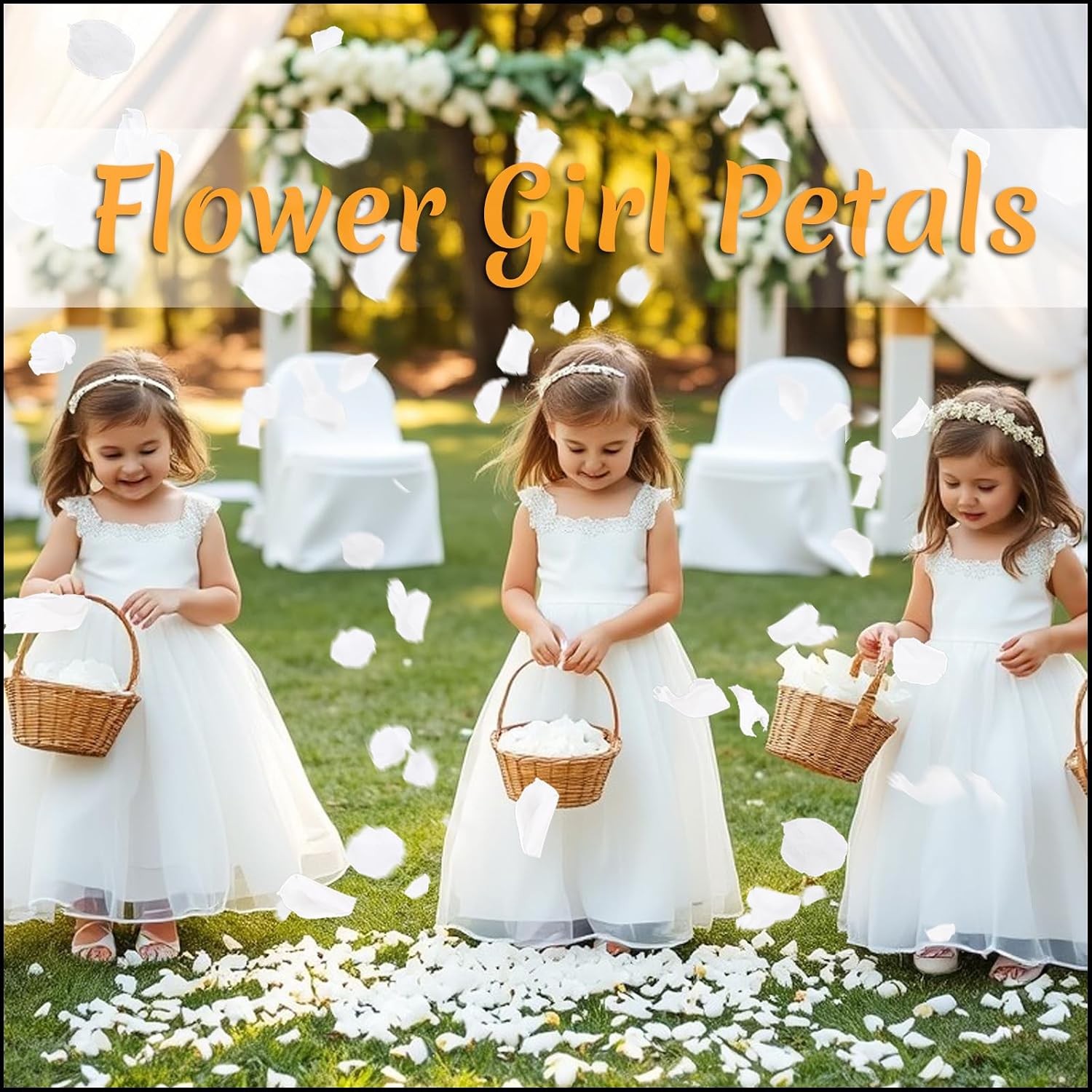300 PCS Real White Rose Petals for Wedding 2.82oz Fresh Rose Petals for Flowe…