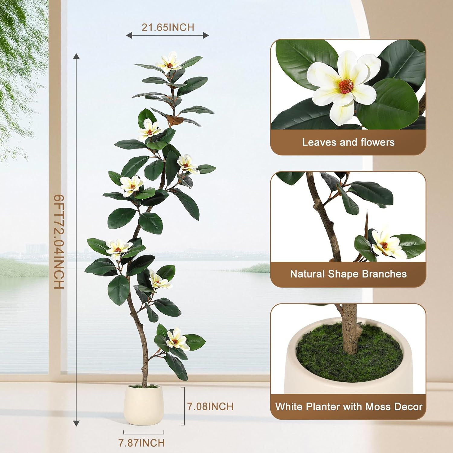 6 Ft Rubber Tree with Magnolia Flowers in White Planter for Home & Office Decor