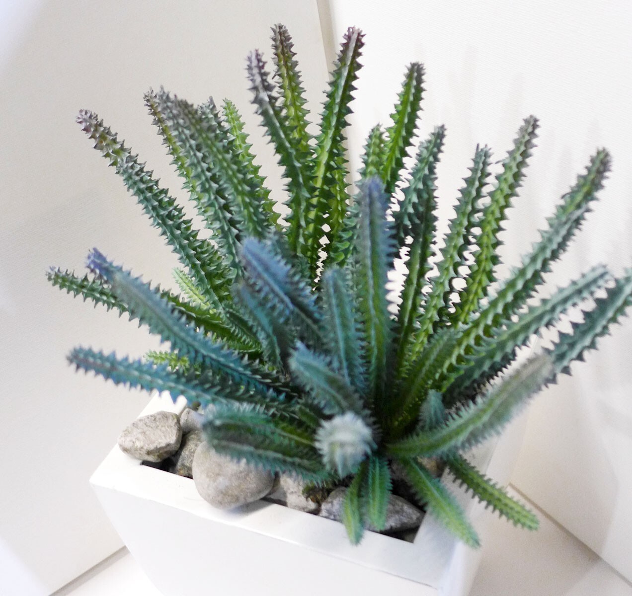 2 Pcs Artificial Fake Cactus Column Succulents Plants Home Decoration (#123 A)