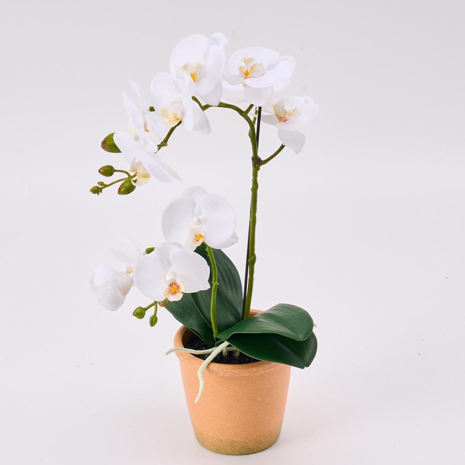 Artificial Real Touch Orchid Plant – 15″ Faux Phalaenopsis in Pot – Highly Reali